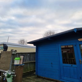 20210225_170209-standard-ojebcl.jpg