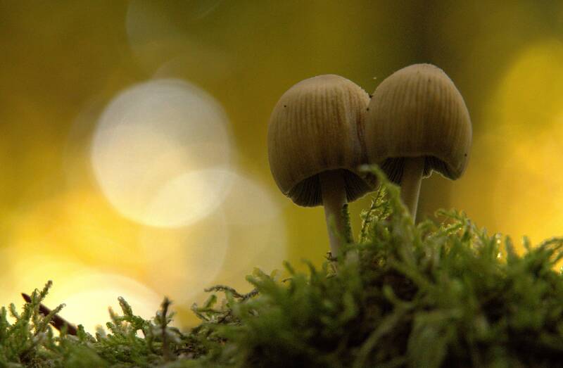 14-10-2025_pilz_2-standard.jpg