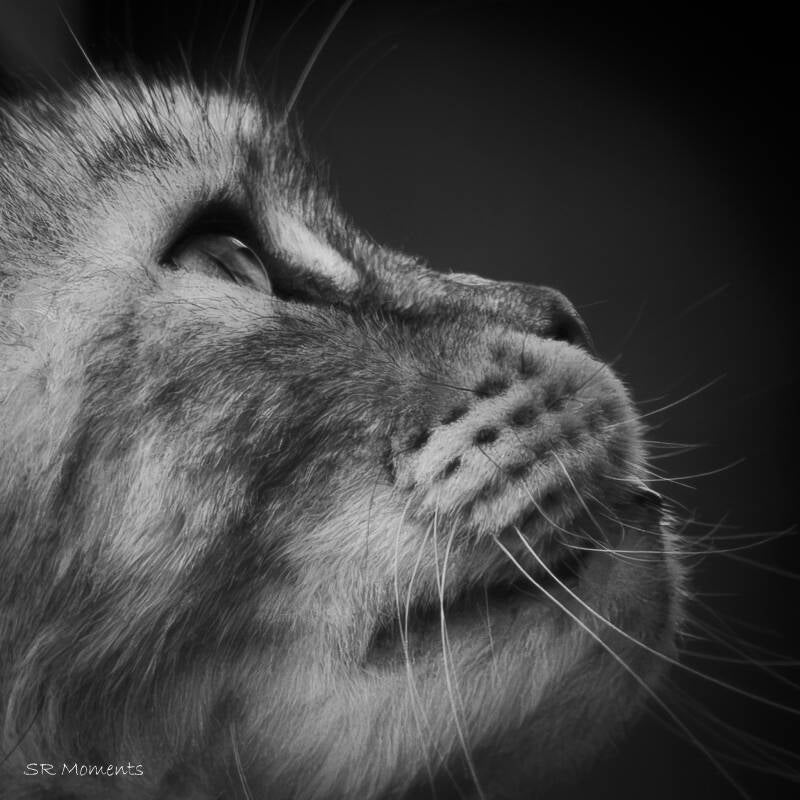 _dsc5154-2-standard-wpgcby.jpg