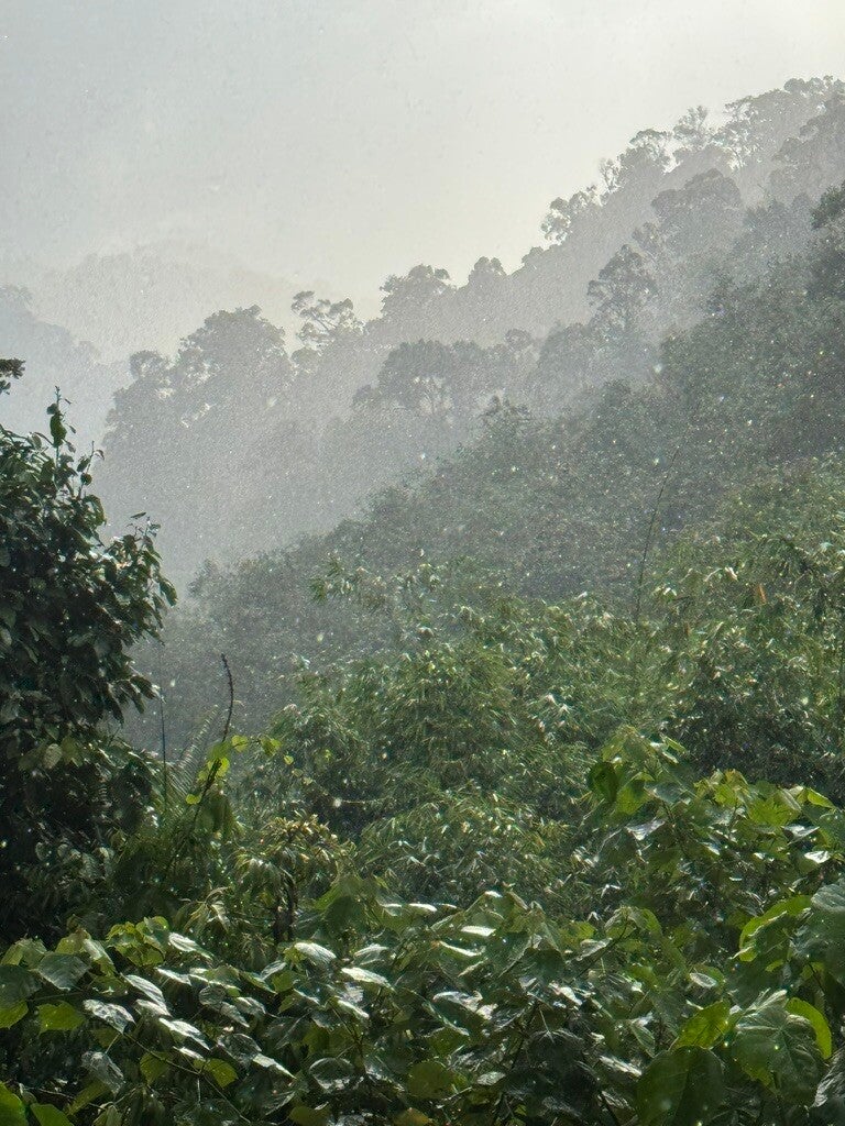 7462c36c-d5c7-42f3-9dd7-b1169e504ede_1_105_c-standard.jpg