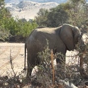 img_8382-standard.jpg