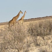 img_8476-standard.jpg