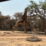 img_8524-standard.jpg