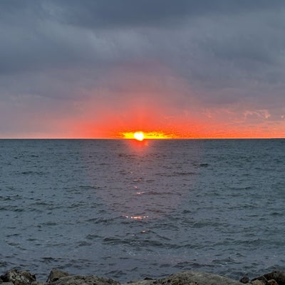 img_9523-standard-ia93ra.jpg