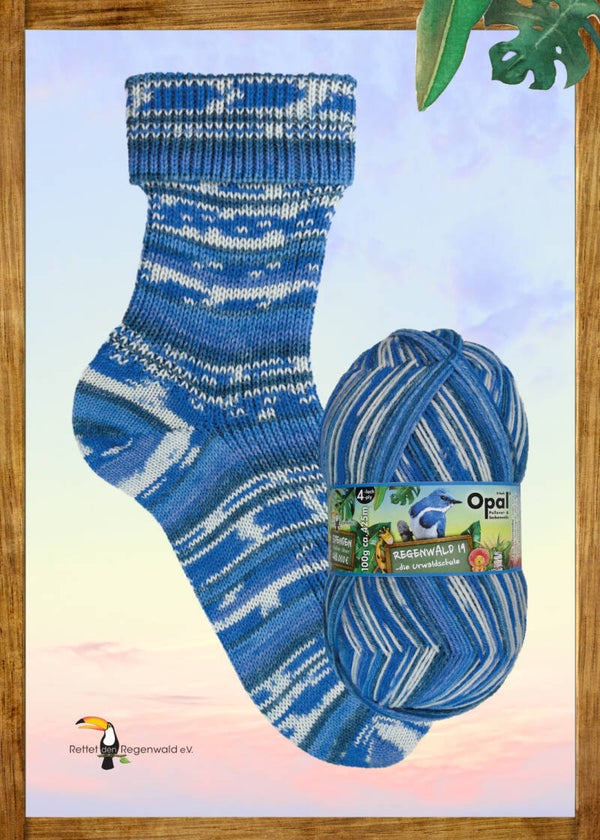 Regenwald 19 : kreativer Hausmeister Willibald