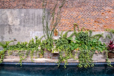 preshallstudio-pool-standard.jpg