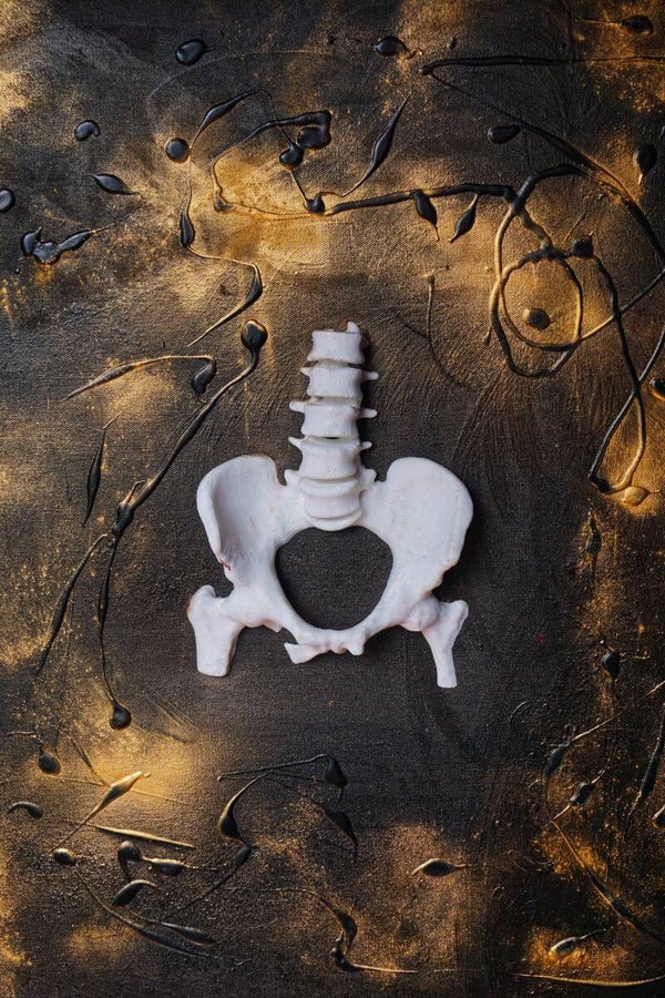 Pelvis femenina
