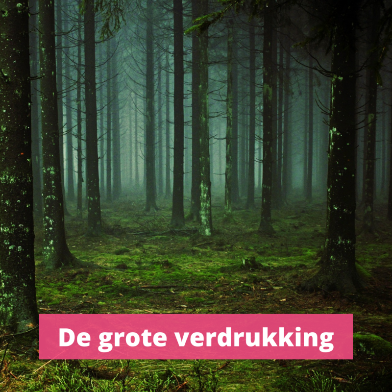 Wat gebeurt er tijdens de grote verdrukking in de eindtijd?