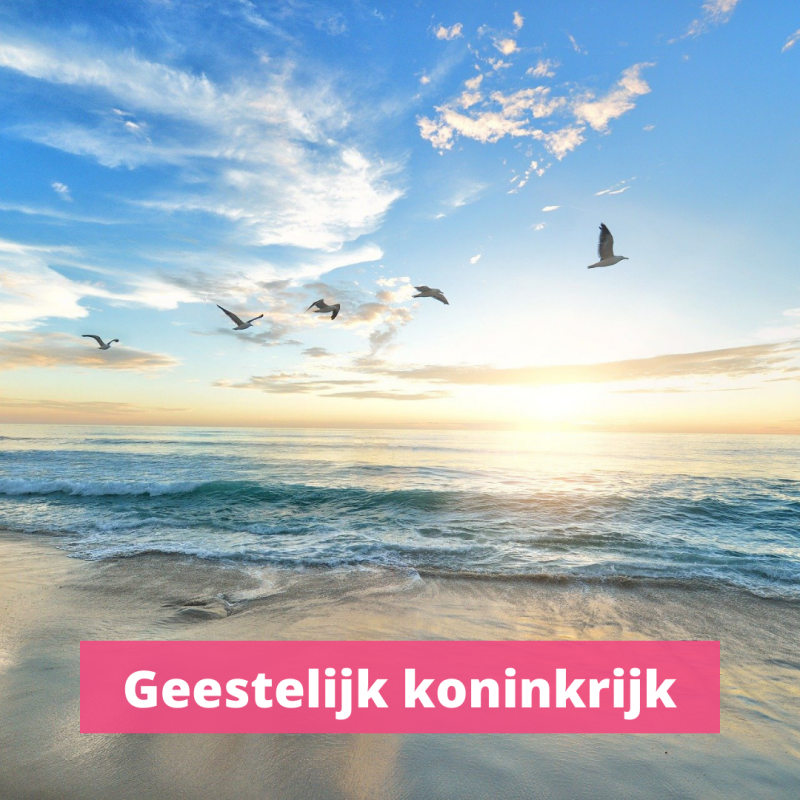 Geestelijk koninkrijk. Kingdom now of duizendjarig vrederijk. Niet-waarneembaar koninkrijk.