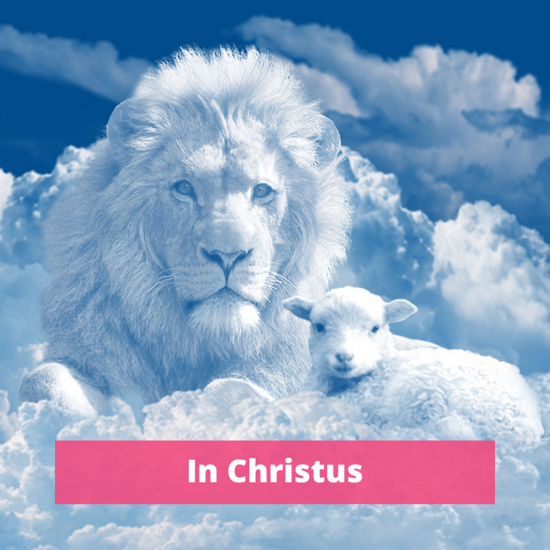 In Christus. De waterdoop, leven met Jezus.