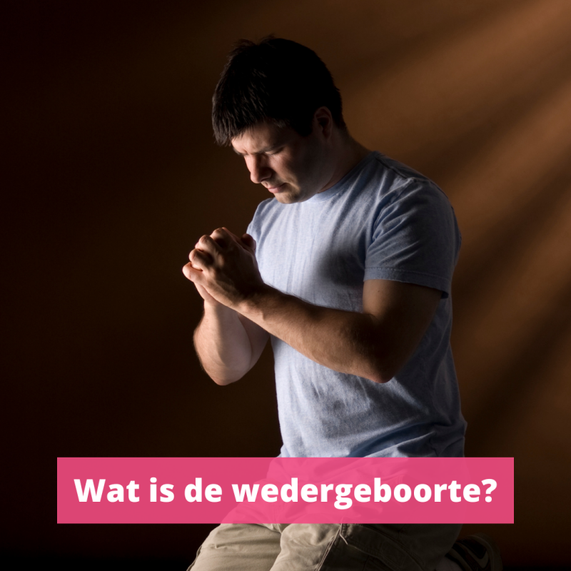 Wat is de wedergeboorte?
