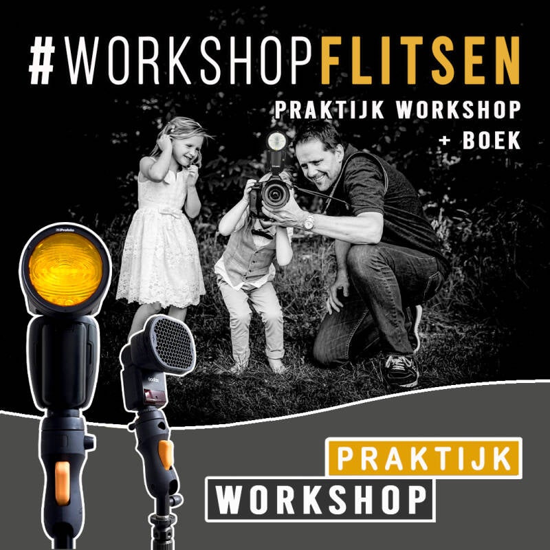 De Basis Online Flits Cursus