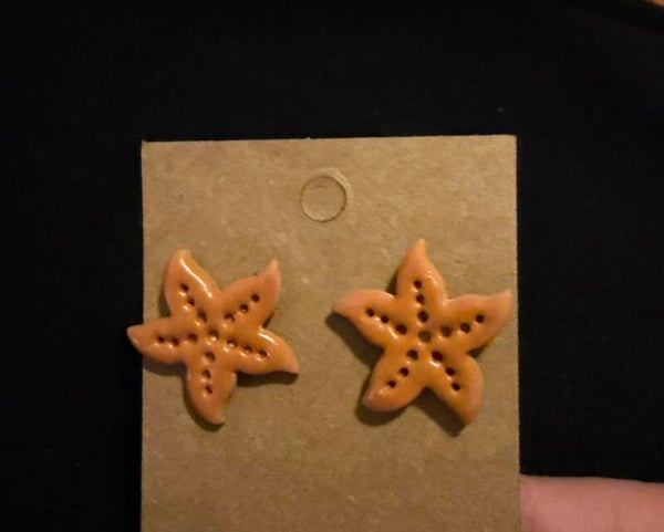 Modèles etoile de mer marron orangé.