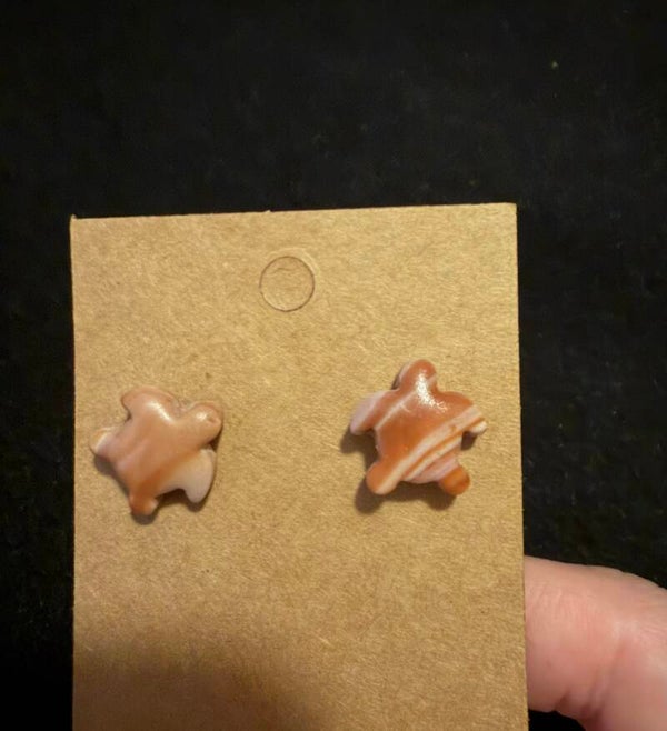 Modèles tortue marron et blanche.