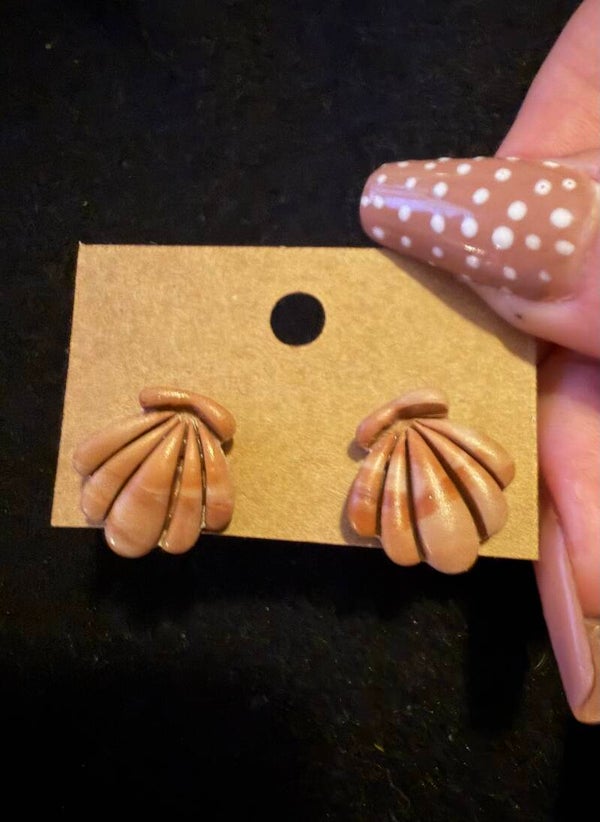 Modèles coquillage marron.