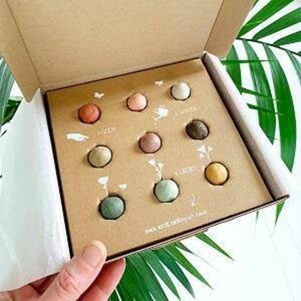 Blossombs giftbox medium 9 assorti