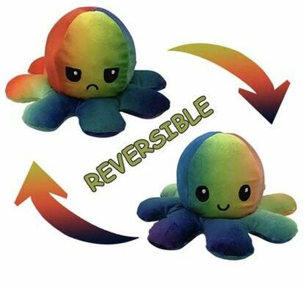 Mood knuffel rainbow