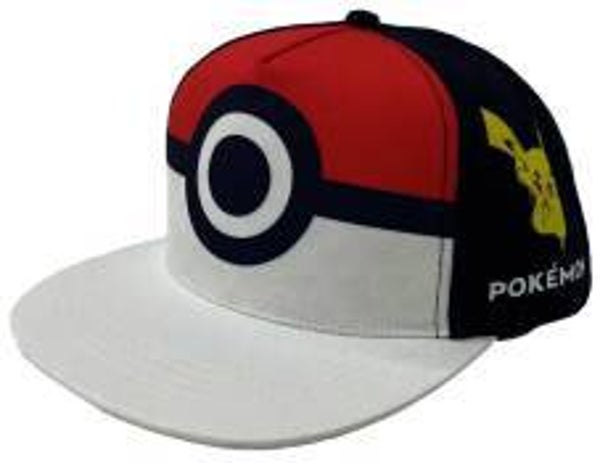Pokemon pet