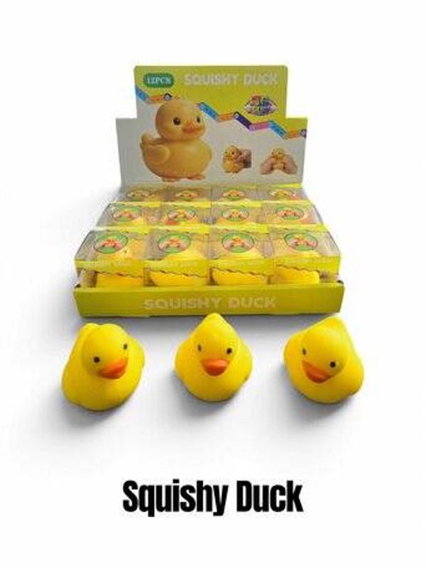 Eendjes Squishy