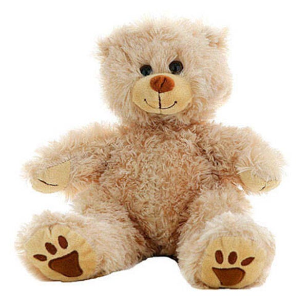 Furry the brown bear