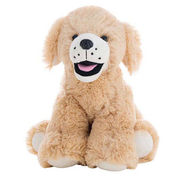 Goldie the lab/retriever