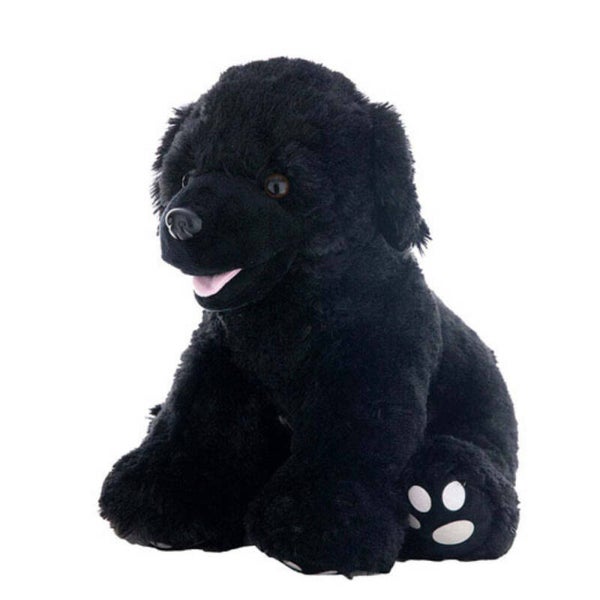 Shadow the black labradorz