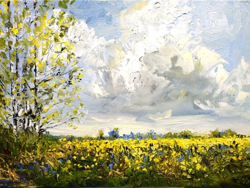 Dream field, oil on canvas, 30 x 40 cm, 2026. (SOLD)