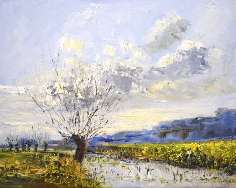 Oil on canvas, 40 x 50 cm, 2023. 