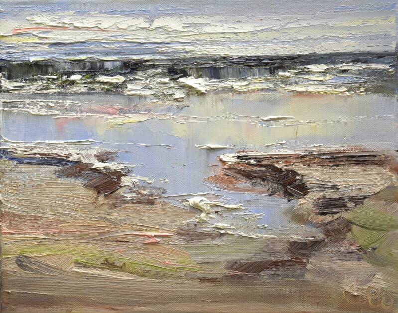 Sea bird, oil on canvas, 24 x 30 cm, 2024. 