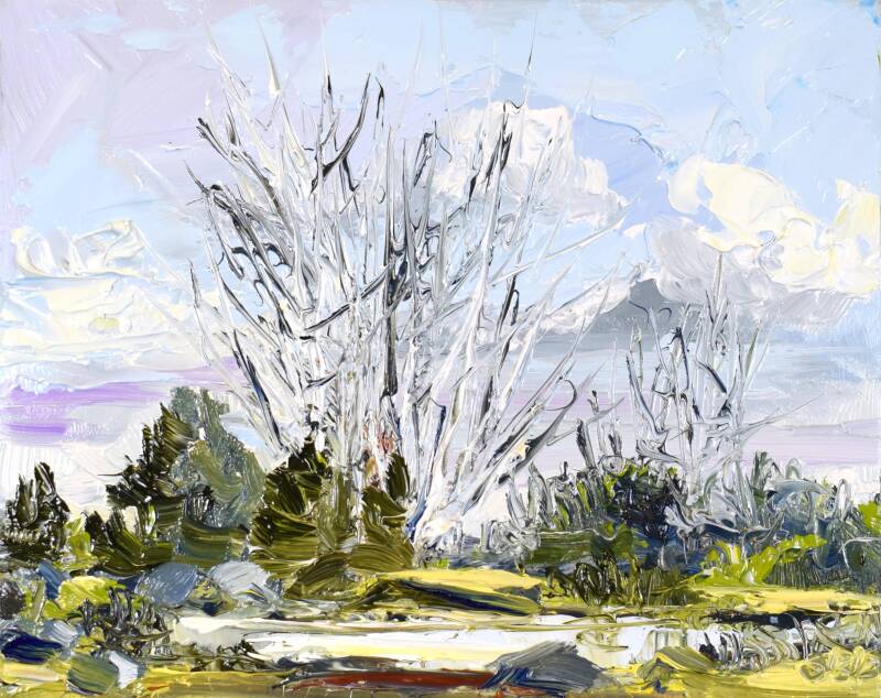 PBP 201, Nature talks, oil on panel, 16  x 20 cm, 2025. 