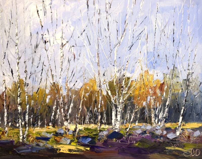 Birch dance, oil on canvas, 40 x 50 cm, 2025. 