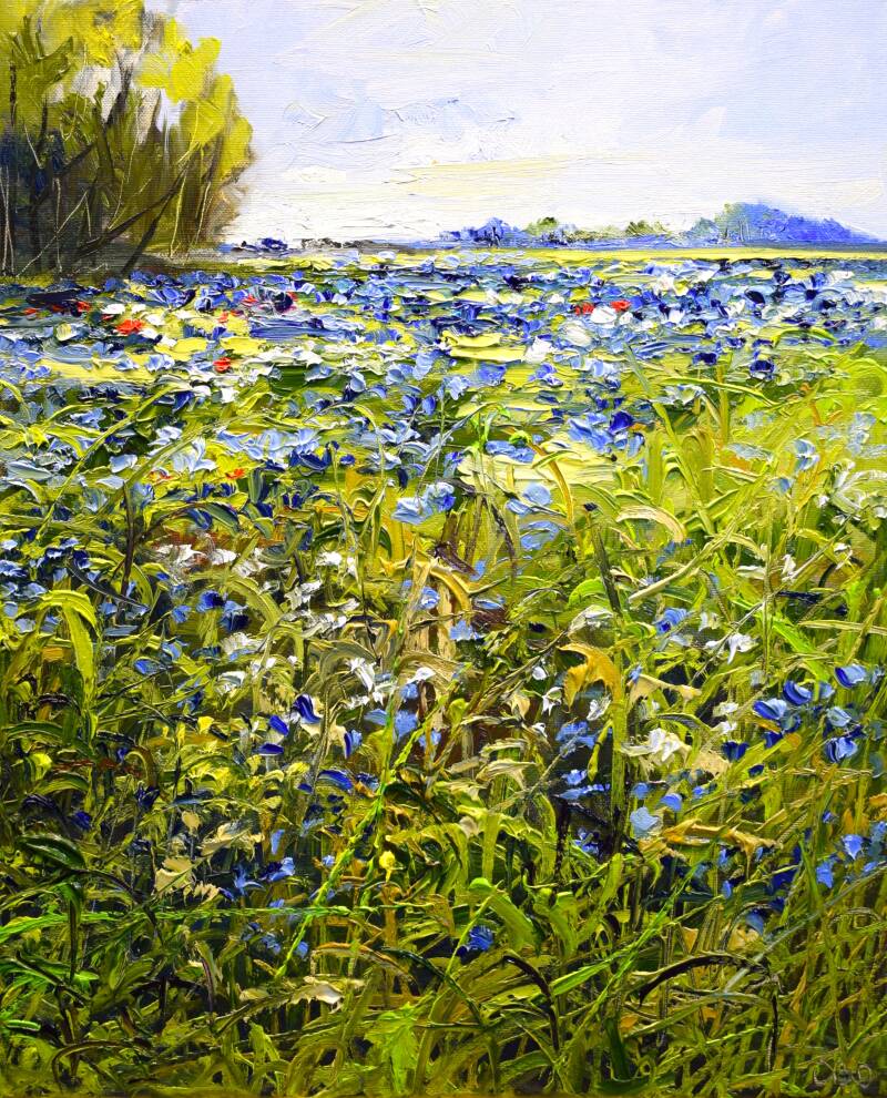 Field of love, oil on canvas, 40 x 50 cm, 2025. (Gallery Gloria)