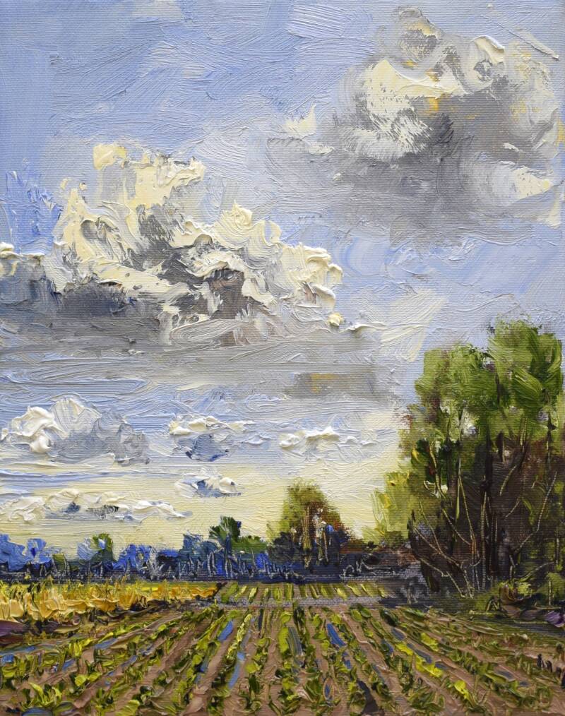 Growing corn, oil on canvas, 30 x 24 cm, 2022. (SOLD)