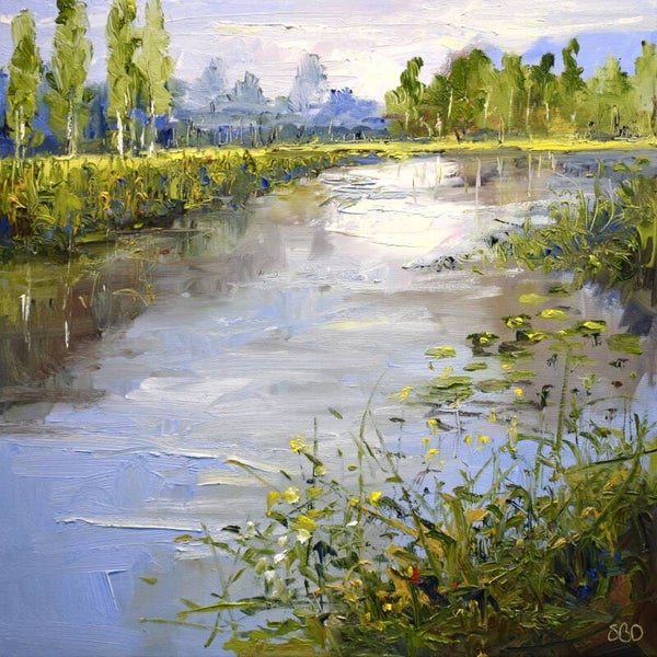 Magic pond