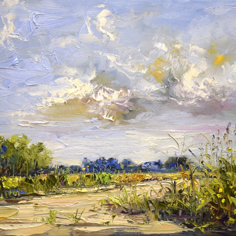 Side  path, oil on canvas, 40 x 50 cm, 2020. (SOLD)