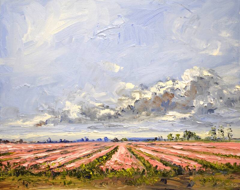 Pretty in pink, oil on canvas, 40 x 50 cm, 2024.  (Galerie Bonnard) 