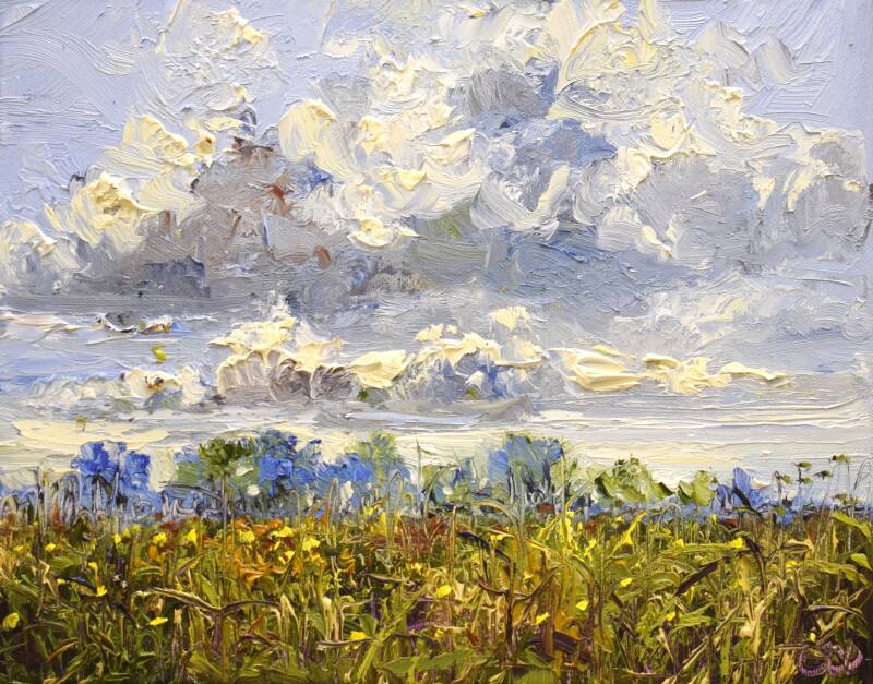 Quiet field, oil on canvas, 24 x 30 cm, 2022. (Galerie Posthuys)