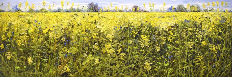 Yellow wave, oil on canvas, 50 x 150 cm, 2023. (SOLD)