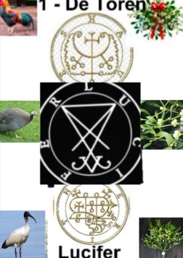 1 - Tarotkaart Toren grootste postkaart