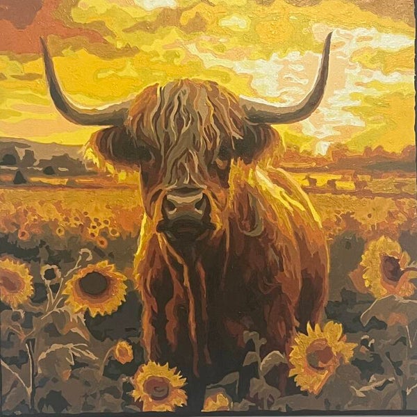 Highland in the Sunflowers