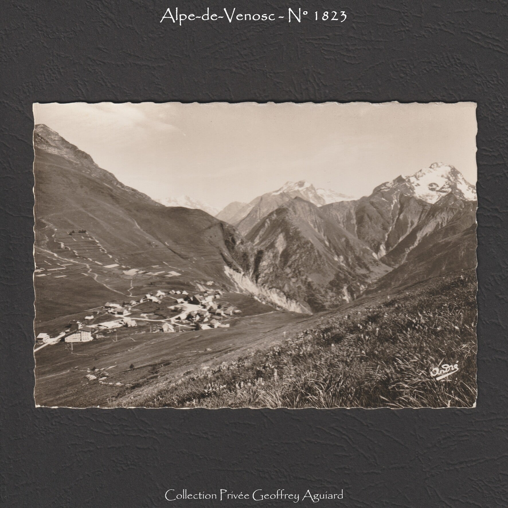 1 823 - Vue générale. De gauche à droite, Tête Moute (2 813 m.), Tête des Fétoules (3 459 m.), Tête de Lauranoure (3 323 m.), La Muzelle (3 459 m.).