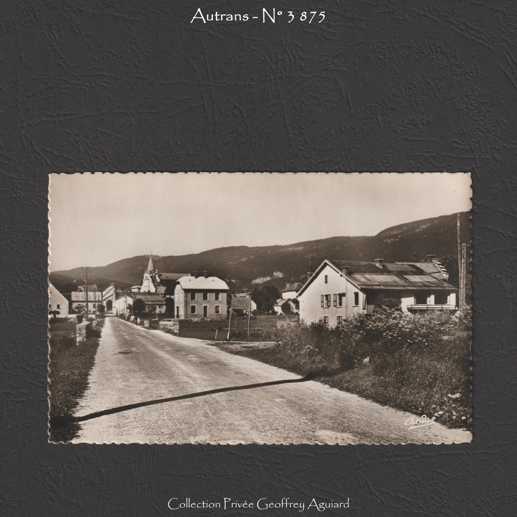 3 875 - Vue générale et la Pension des Rosiers.