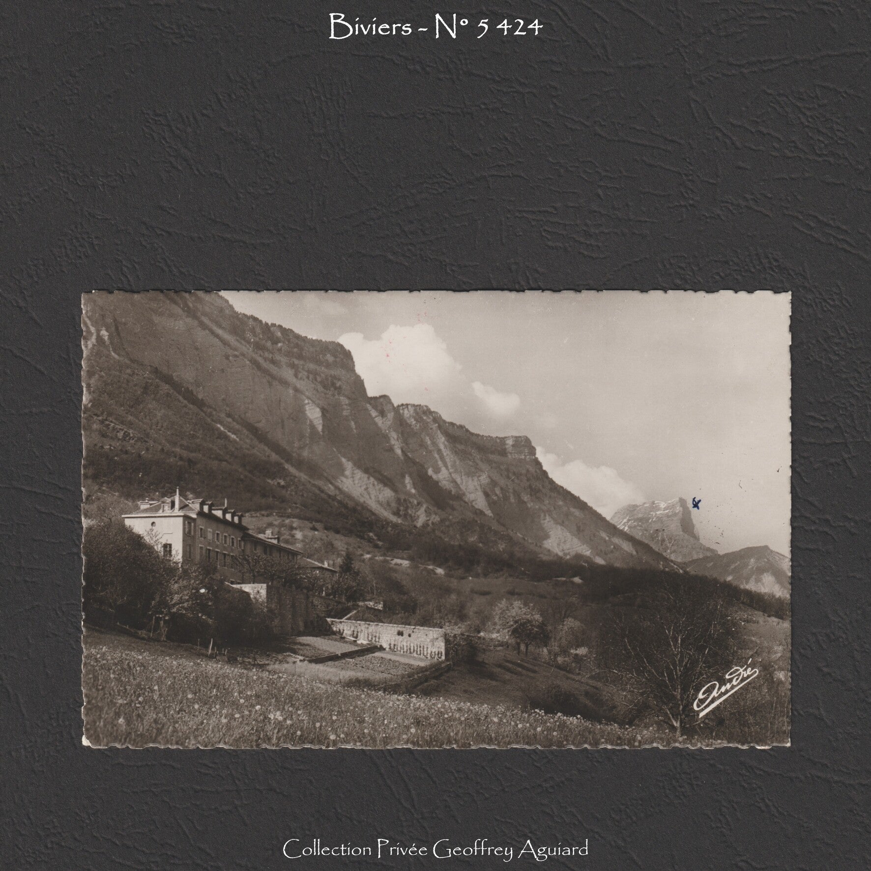 5 424 - Maison de Repos de la Jeune Fille. Au fond, la Dent de Crolles.