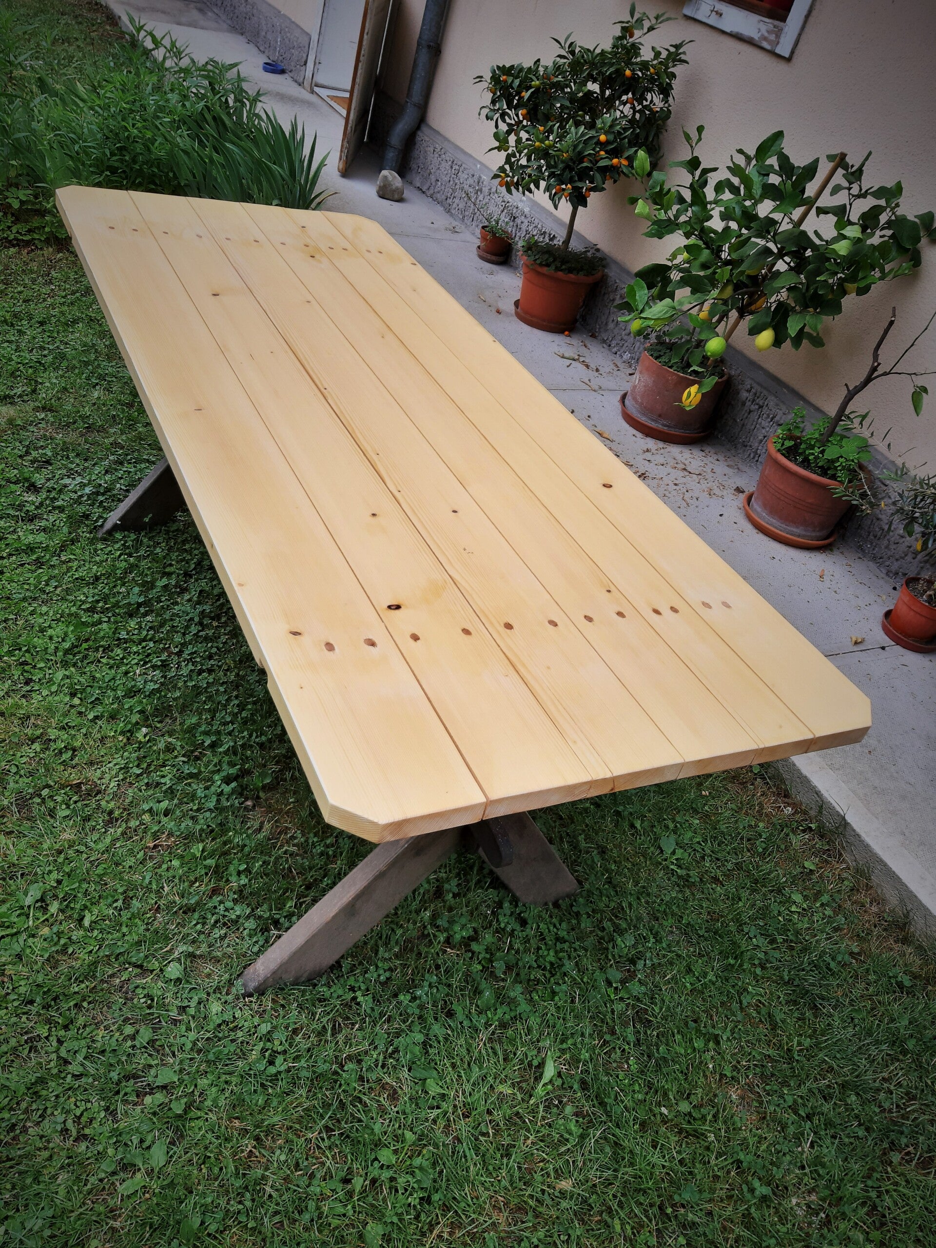 20190621_091636-2-standard.jpg