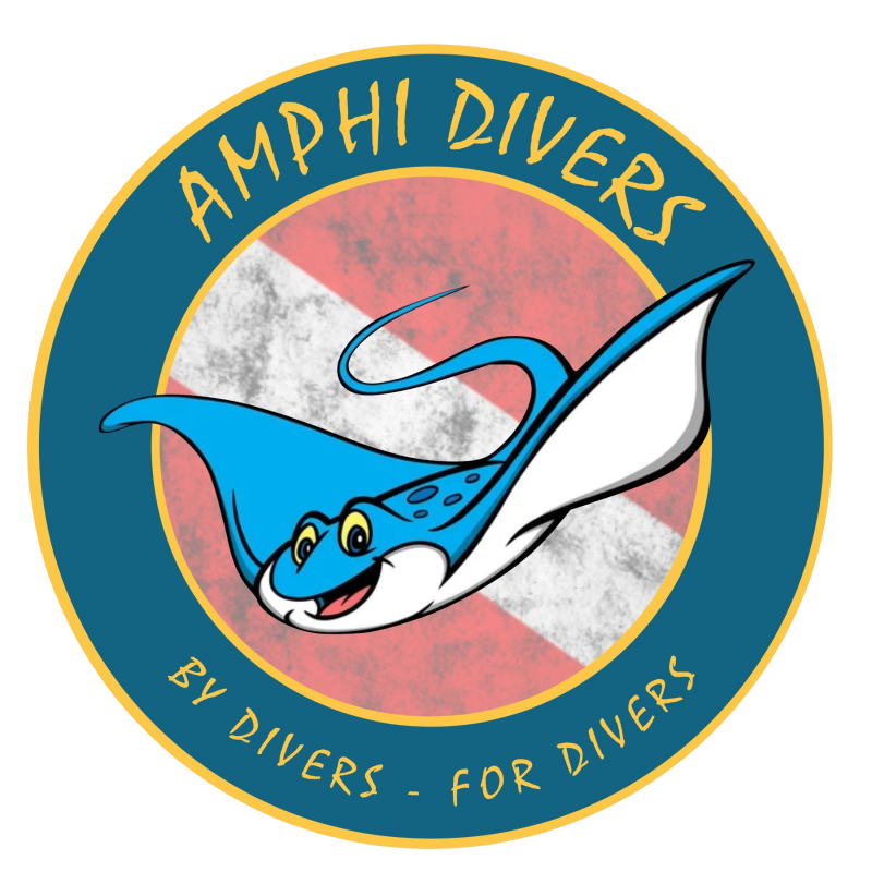 Amphi divers