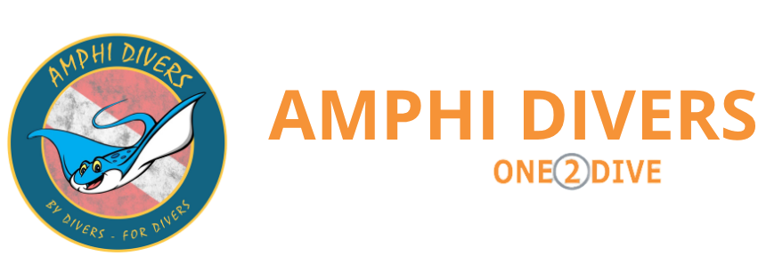Amphi divers
