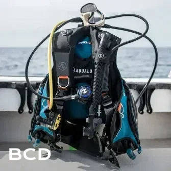 BCD
