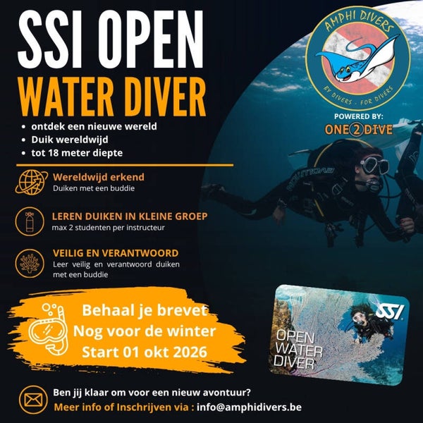 SSI Open Water Diver  01 oktober 2026