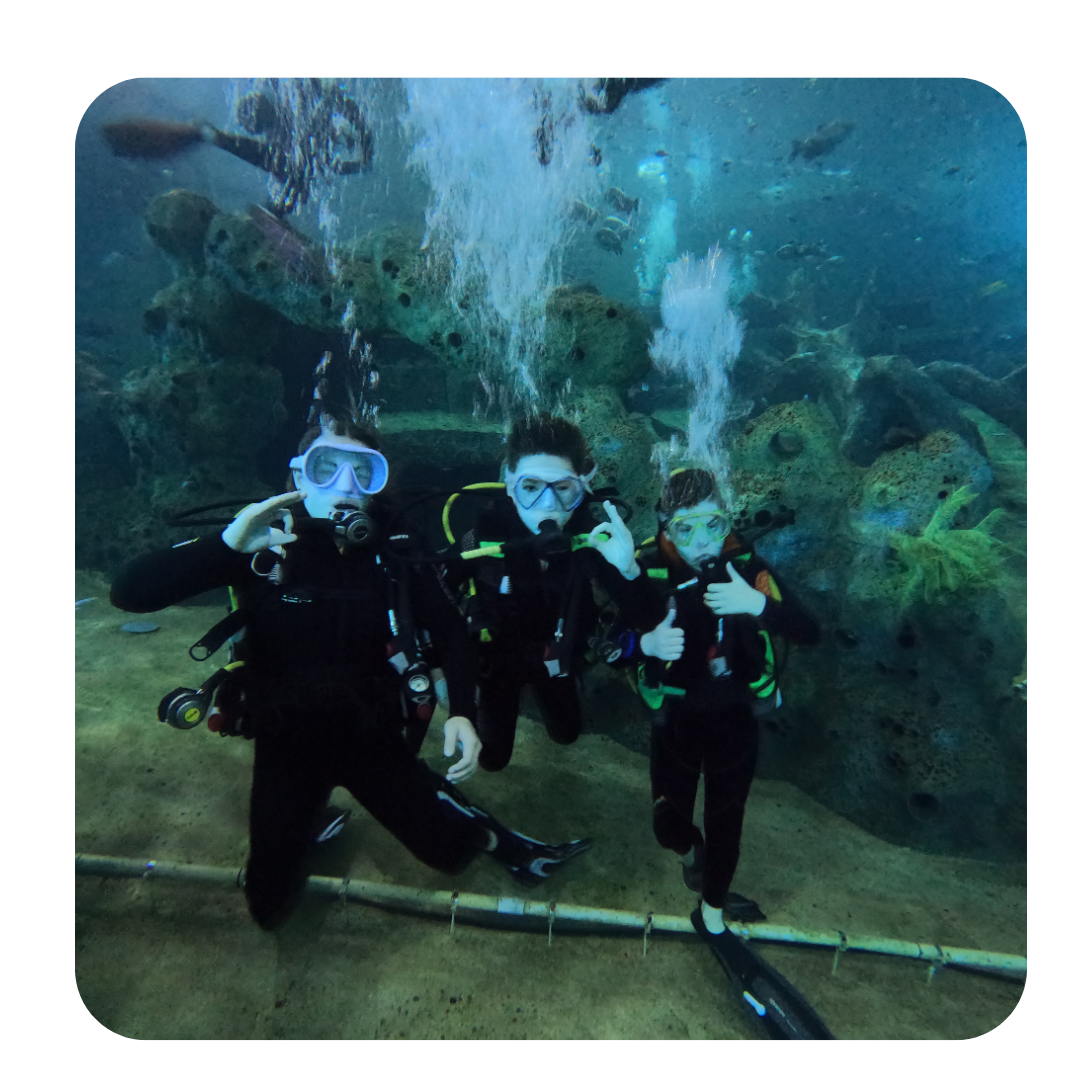 Try Scuba Todi