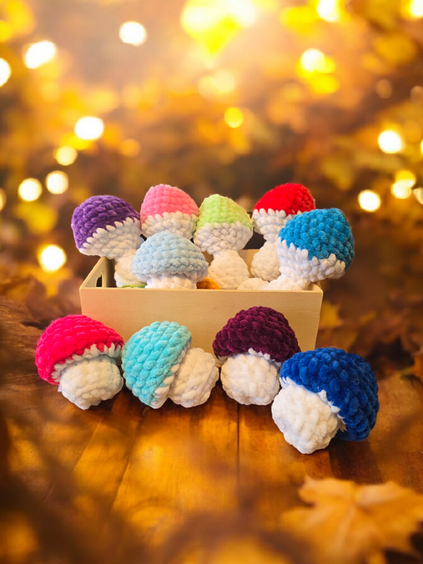 🍄 Mushypops – Die zuckersüßen Plüsch-Pilzüberraschungen ✨